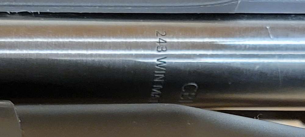 Savage 110 Storm 243 Win 22" Criterion Stainless Barrel Bushnell ENGAGE -img-15