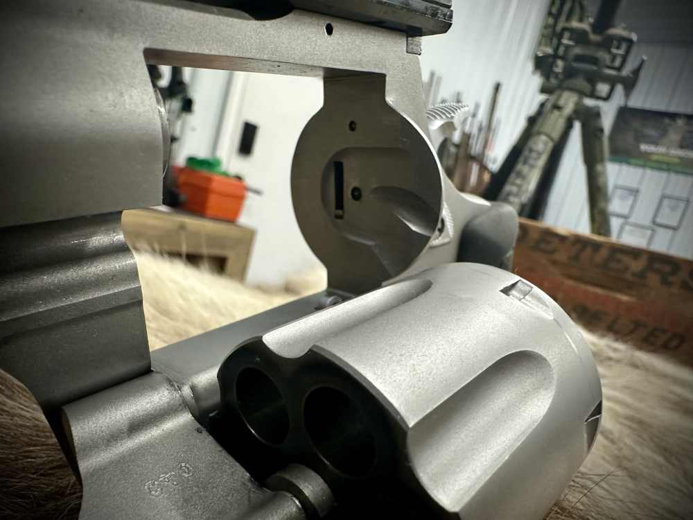 Taurus Raging Bull .44mag with Holosun HS507C X2-img-4