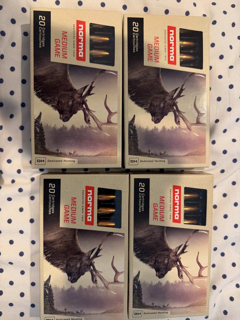 Norma medium game 308 win 80 rounds -img-0