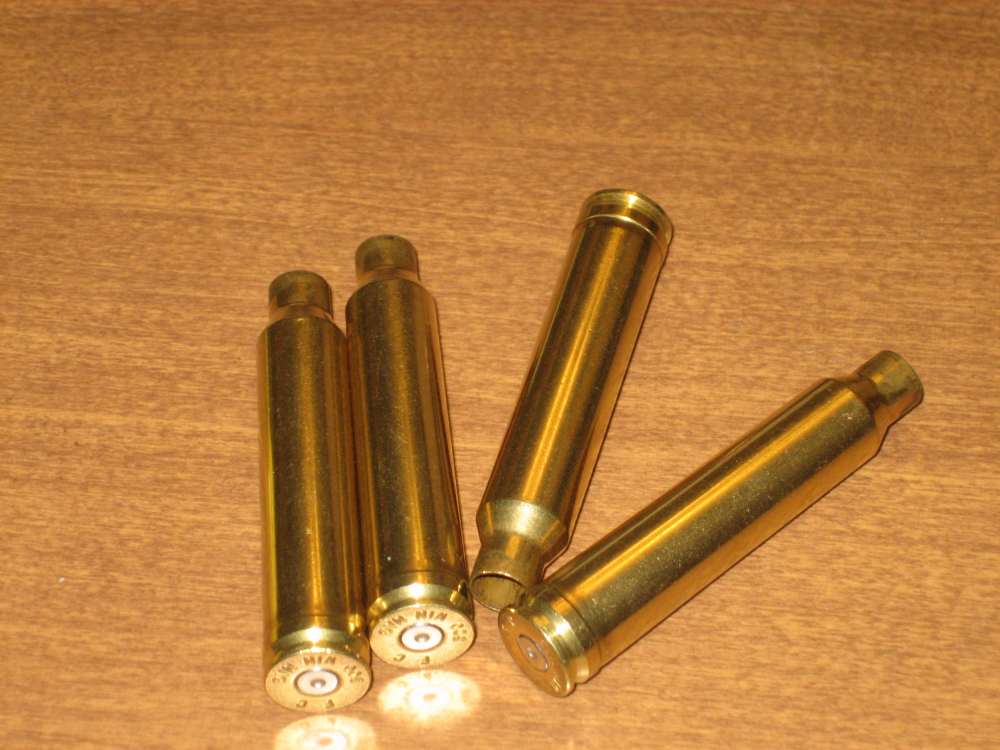 Federal 300 Winchester Magnum brass 1x (40)-img-2