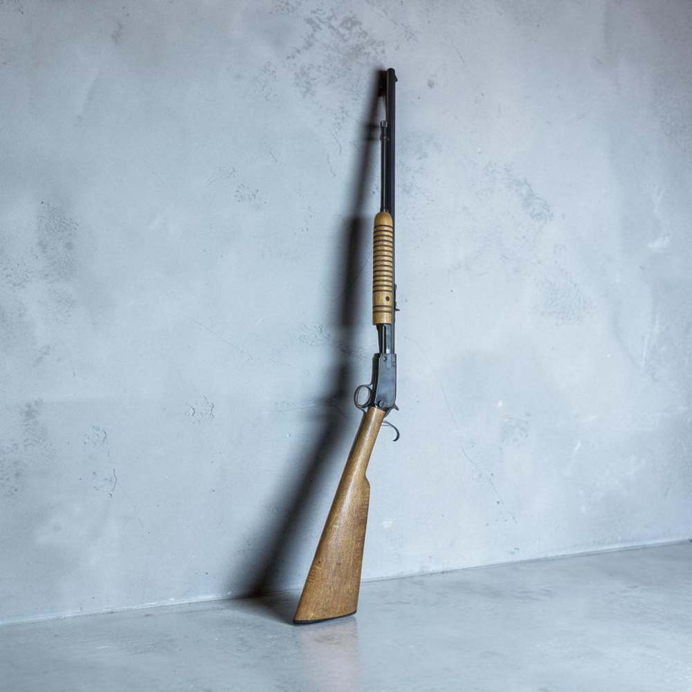 INTERARMS MODEL 52 SA 22S/L/LR Pheasants Forever 1 of 1 Boyer Chapter-img-1