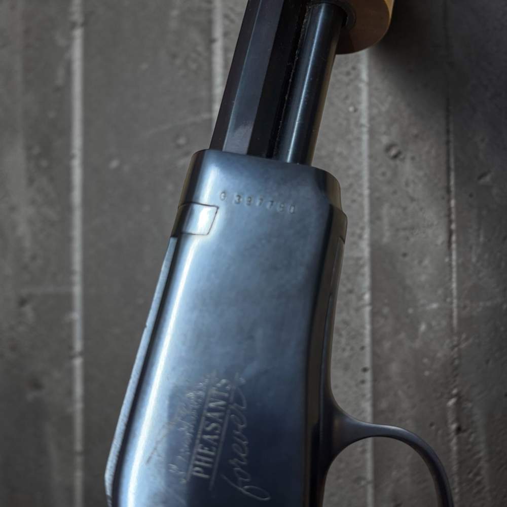 INTERARMS MODEL 52 SA 22S/L/LR Pheasants Forever 1 of 1 Boyer Chapter-img-6