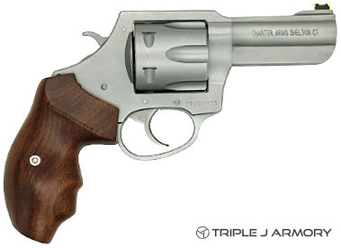 Charter Arms THE Professional V 357 MAG Pistol 73526 Stainless-img-1
