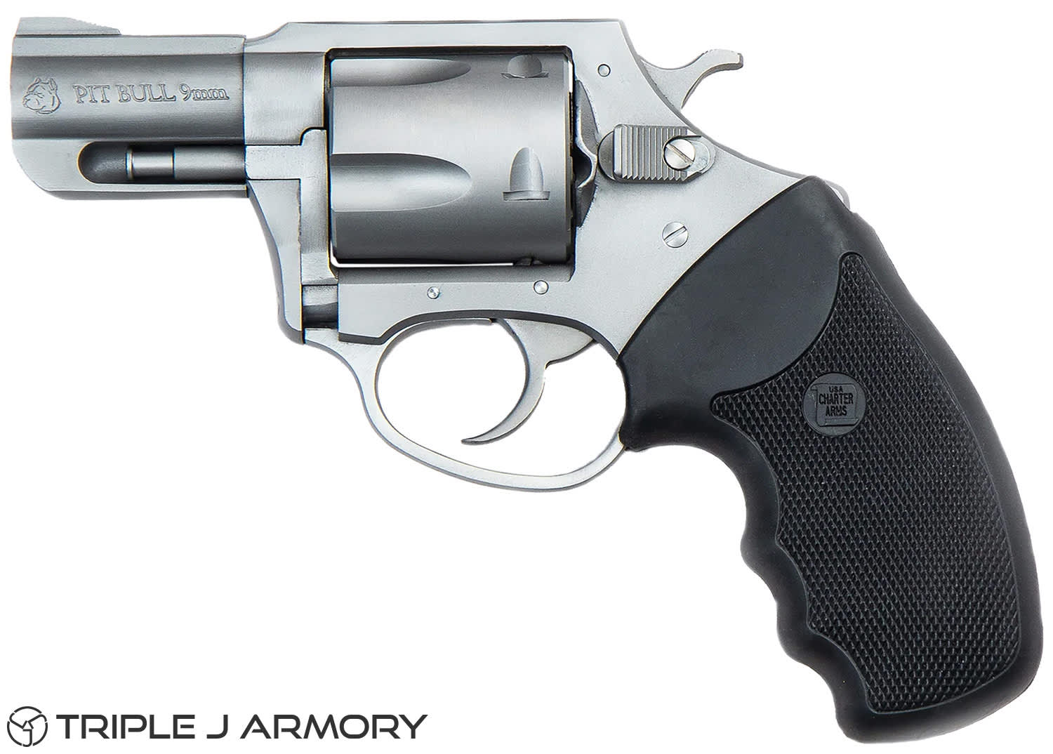 Charter Arms Pitbull 9mm Pistol 79920 Stainless-img-2