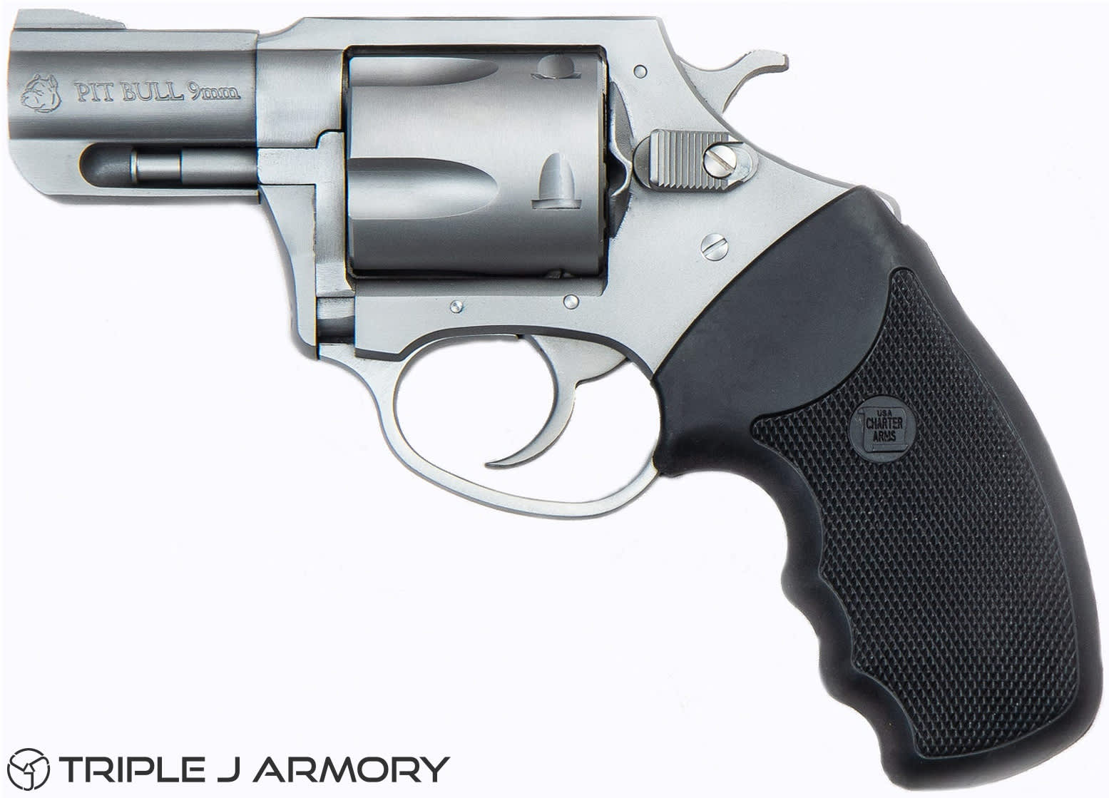 Charter Arms Pitbull 9mm Pistol 79920 Stainless-img-0