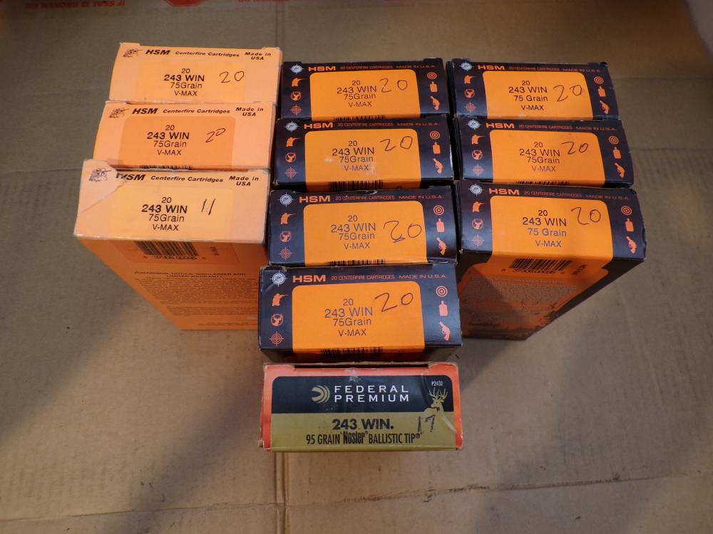 Savage 10 Predator .243 Win HS Precision 224 Rounds Ammo-img-19
