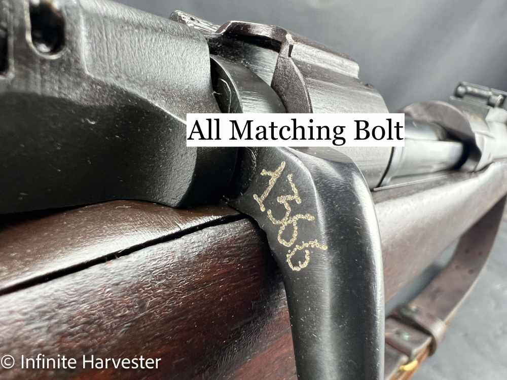 Springfield 1903 Remington CMP-img-19