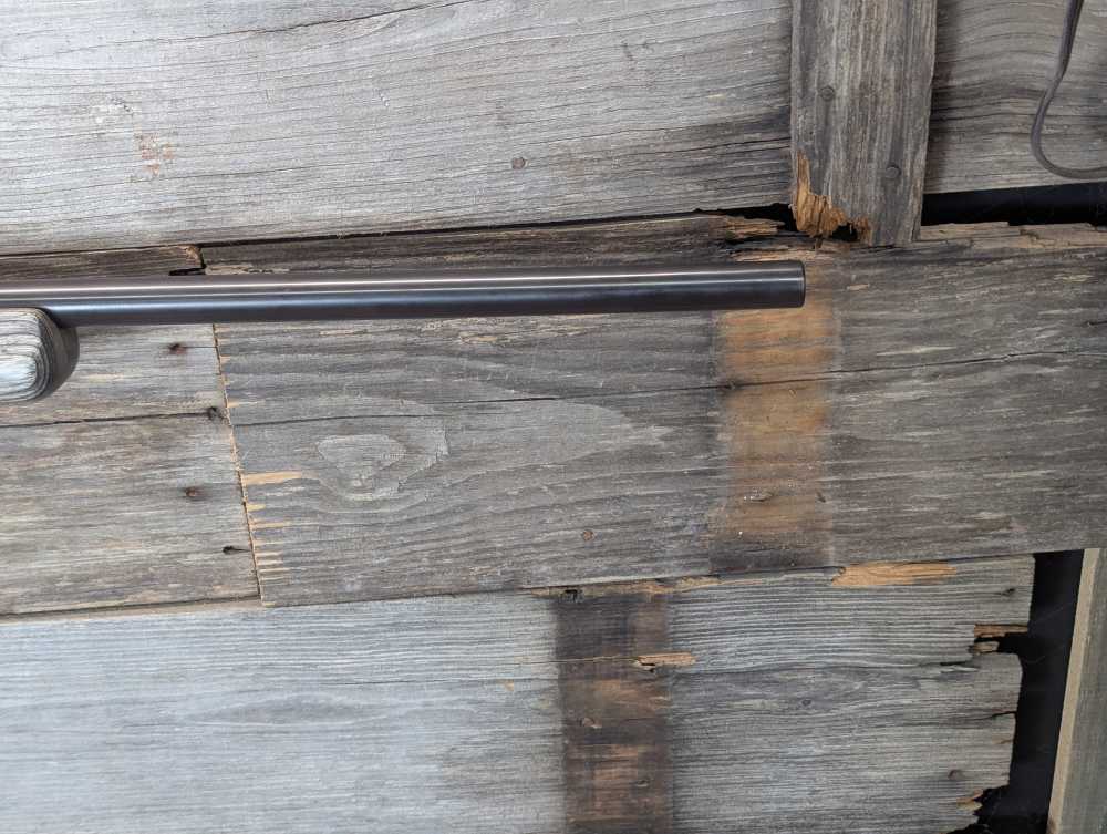 CZ USA CZ550  Varmint .308 Win-img-6