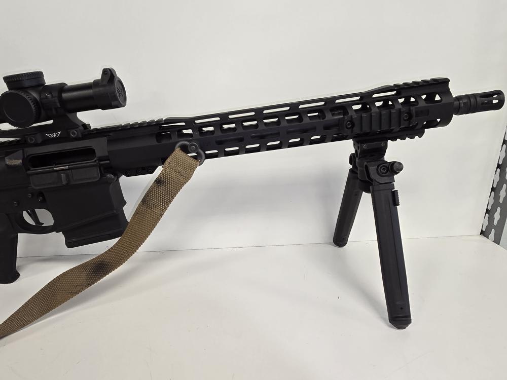 Palmetto State Armory G3-10 With Vortex Sight -img-4