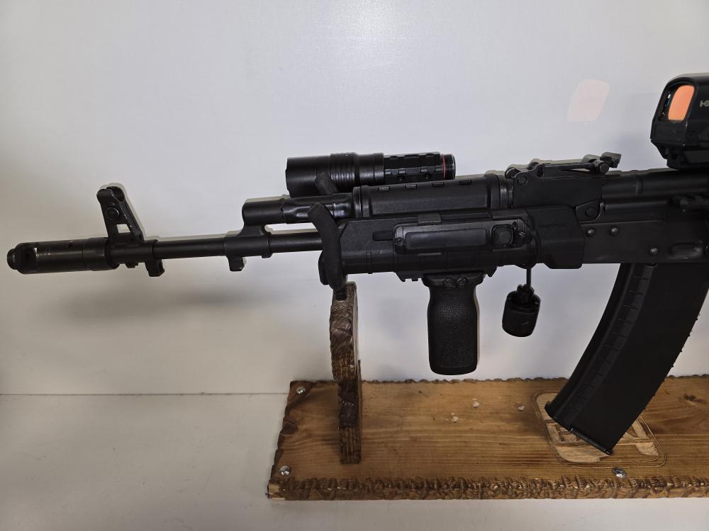Riley Defense RAK-74 With Holosun Sights -img-1