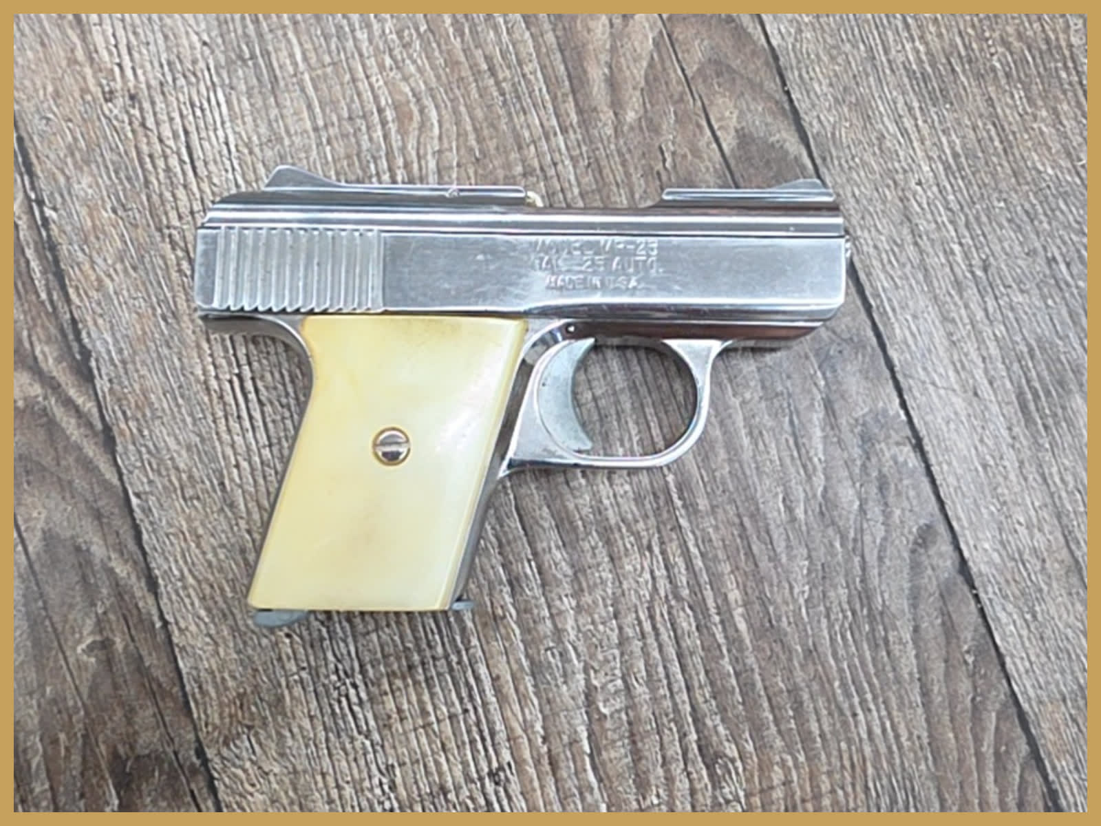 Raven Arms MP-25 25 Automatic-img-0