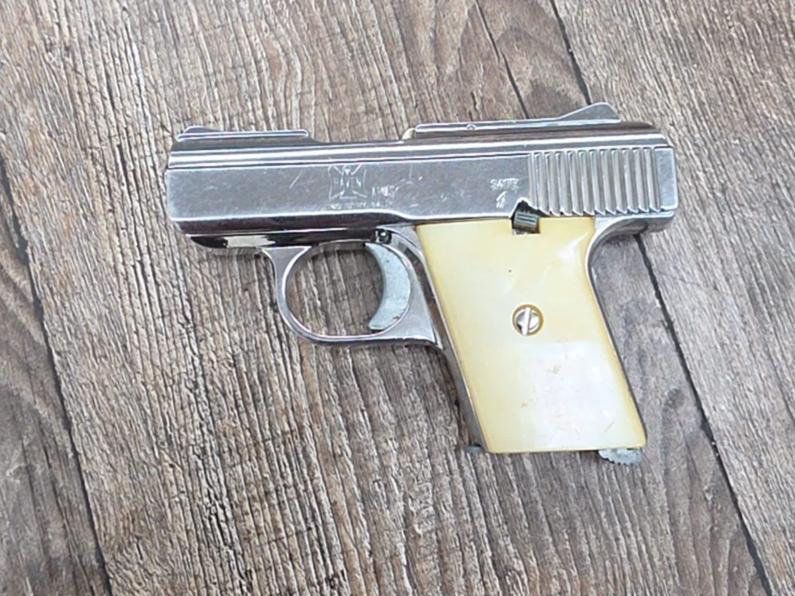 Raven Arms MP-25 25 Automatic-img-1