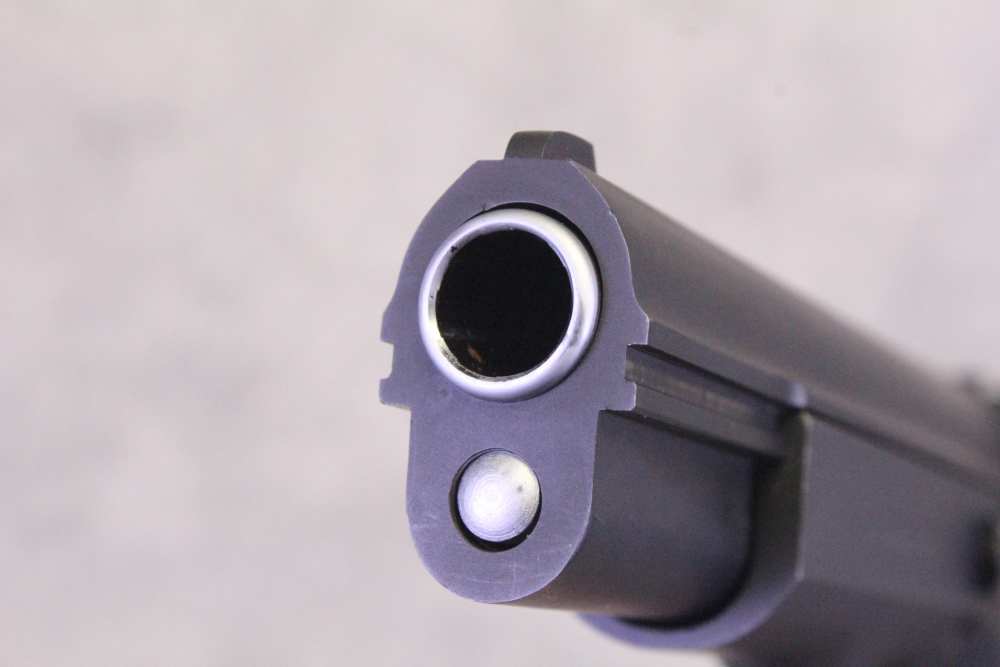 Tanfoglio Witness - 4.5" - 45 ACP - w/ 22 Conversion Kit-img-34