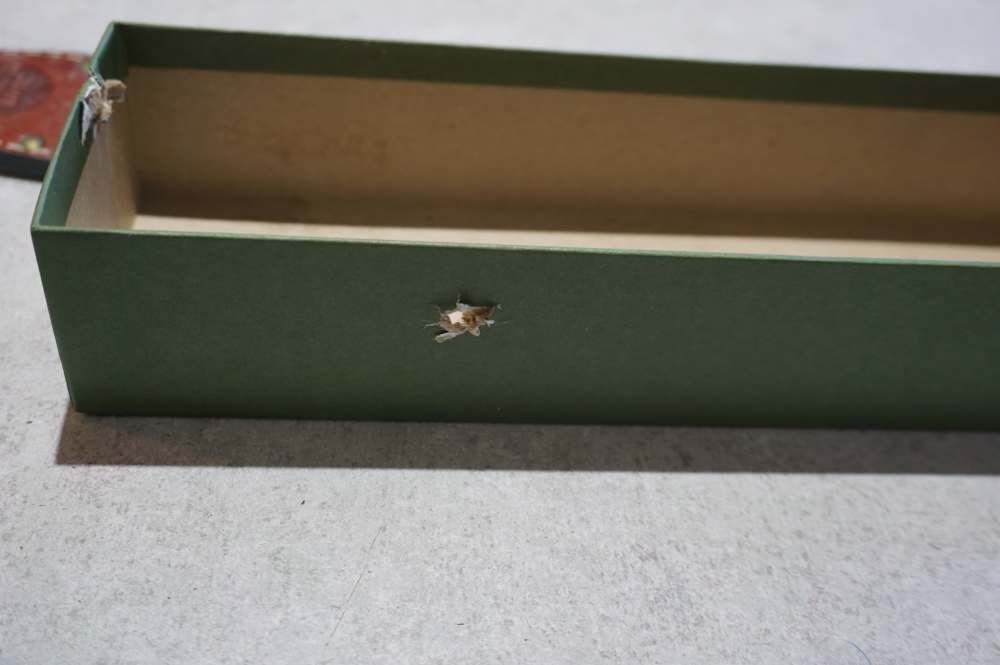 Remington RH-31 Fixed Blade Hunting Knife NIB-img-10