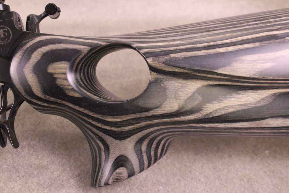 Thompson Center / Smith & Wesson Encore - 204 Ruger - 20" - Burris Scope Ri-img-15