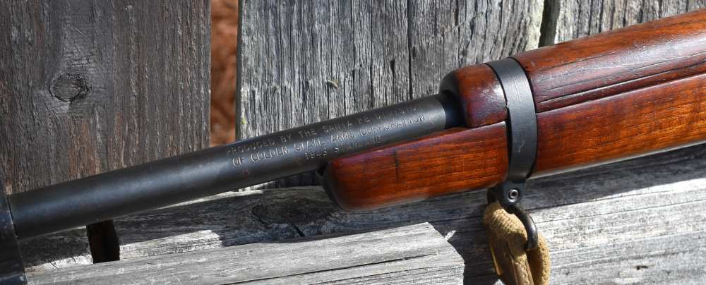 GOLDEN STATE ARMS SANTA FE JUNGLE CARBINE ENFIELD .303 18 INCH-img-38