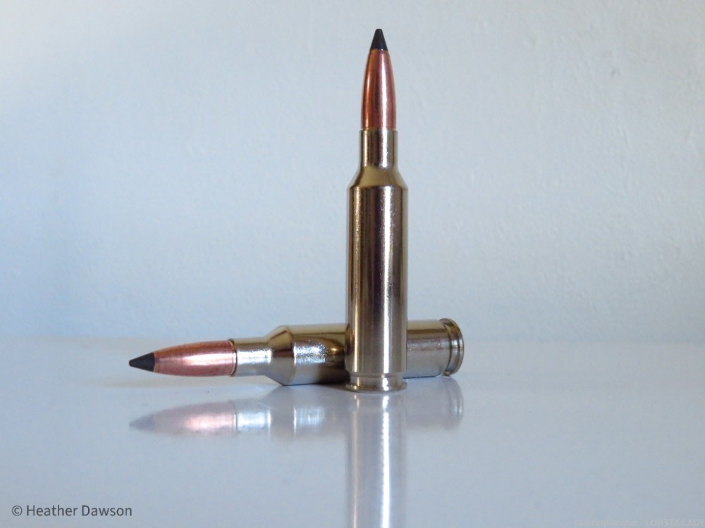 Federal Premium Trophy Copper 6.5 Creedmoor 120 Grain P65CRDTC1-img-1