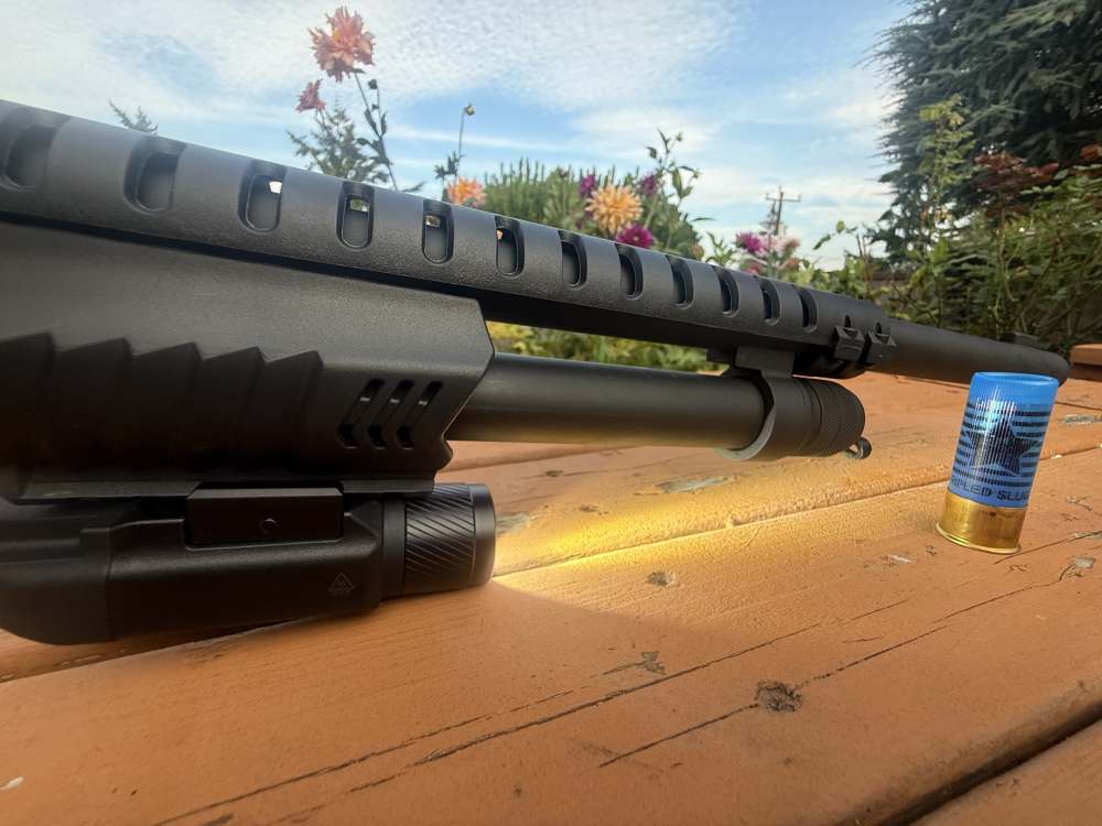 ANUBIS / CARRERA 12-GA — THE VIDEO-GAME SHOTGUN PENNY-img-4