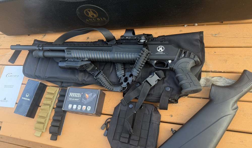 ANUBIS / CARRERA 12-GA — THE VIDEO-GAME SHOTGUN PENNY-img-1