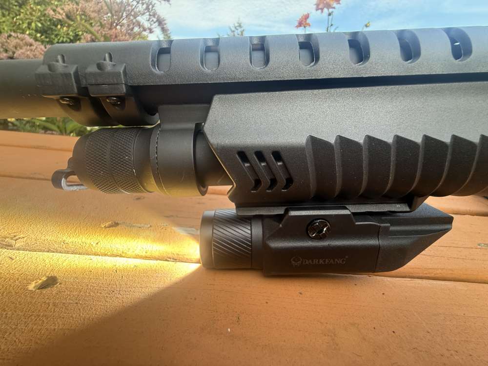 ANUBIS / CARRERA 12-GA — THE VIDEO-GAME SHOTGUN PENNY-img-11