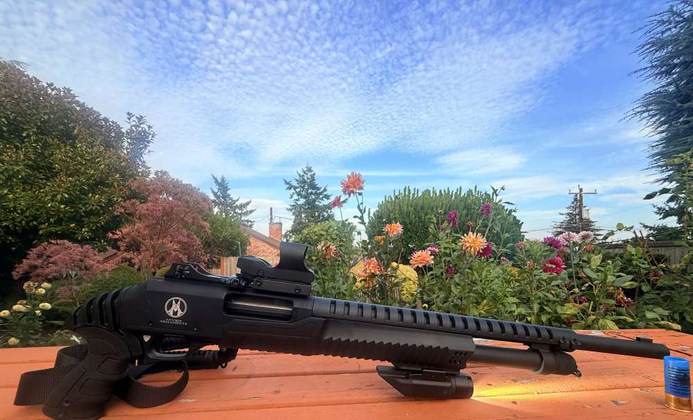 ANUBIS / CARRERA 12-GA — THE VIDEO-GAME SHOTGUN PENNY-img-7