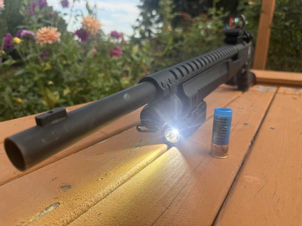 ANUBIS / CARRERA 12-GA — THE VIDEO-GAME SHOTGUN PENNY-img-3