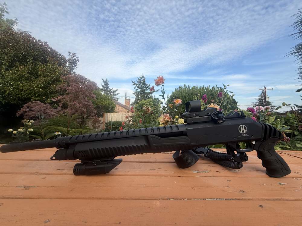 ANUBIS / CARRERA 12-GA — THE VIDEO-GAME SHOTGUN PENNY-img-12
