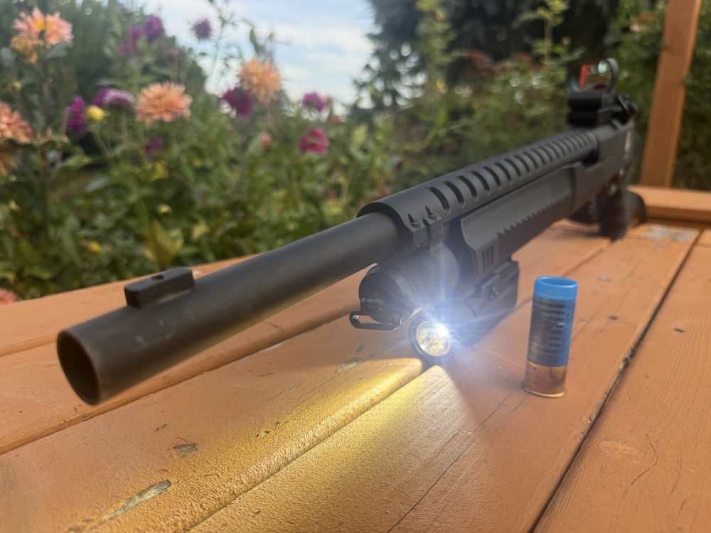 ANUBIS / CARRERA 12-GA — THE VIDEO-GAME SHOTGUN PENNY-img-10