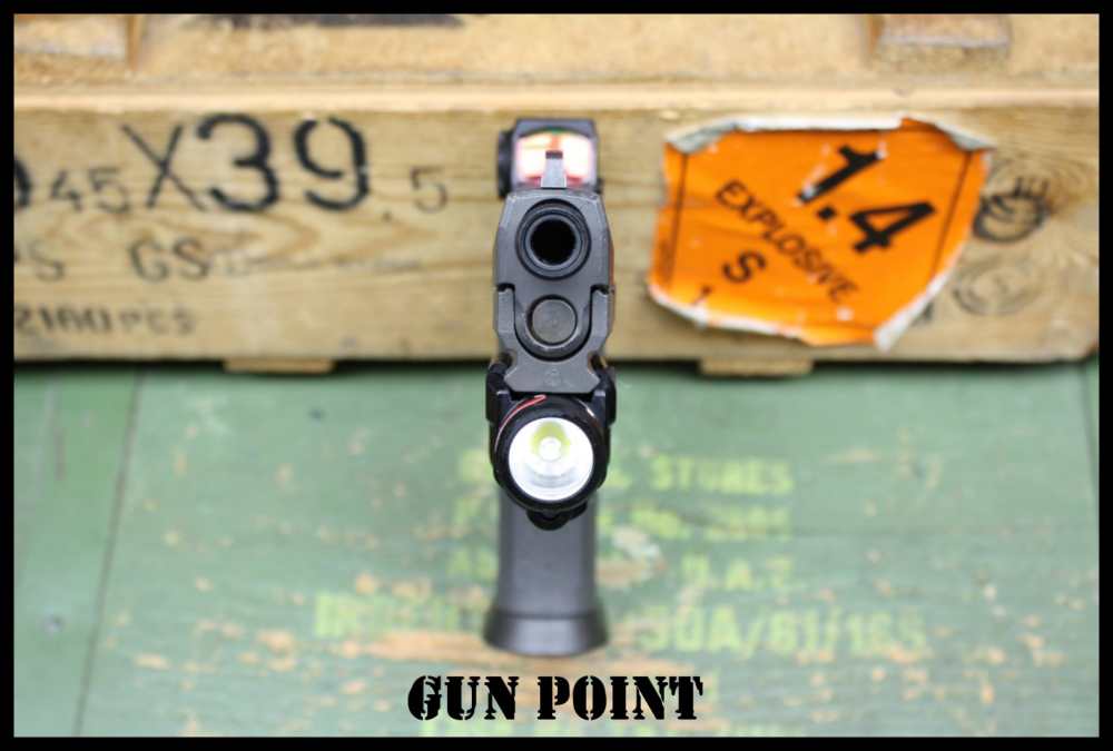 Ultimate Sig 320 Legion Tactical Package 7 Mags TRL-8 Romeo-X -img-24