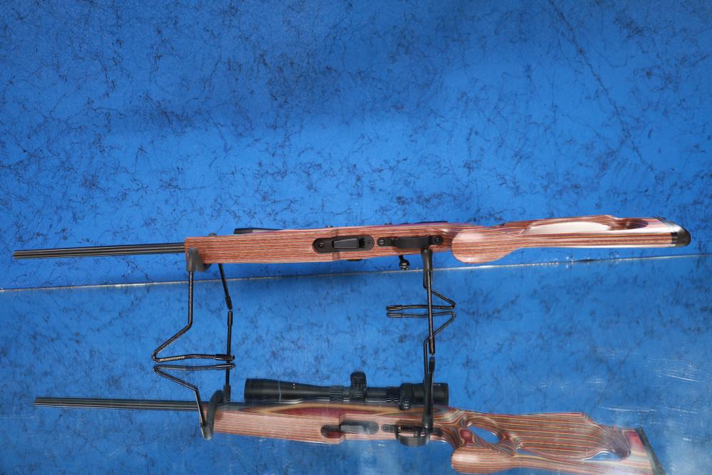 Savage 93R17 BSEV 17HMR With Vortex Diamondback Tactical VERY NICE-img-23