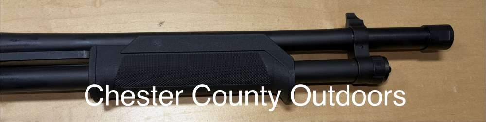 SDS Civet 12GA Pump Mag Fed shotgun-img-6