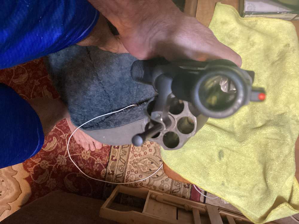 Taurus Judge -img-3