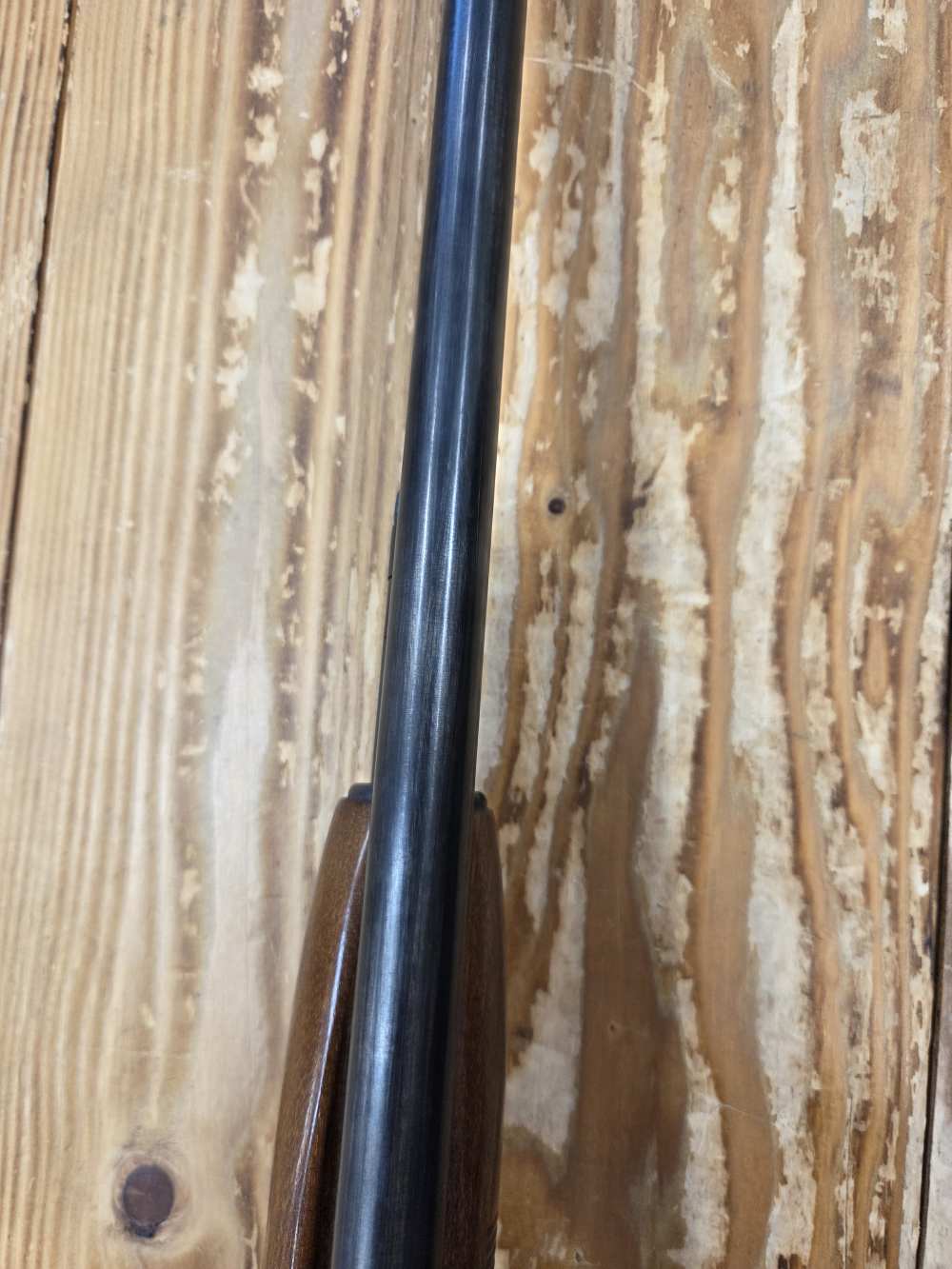 USED Mossberg 500CT 20GA-img-11