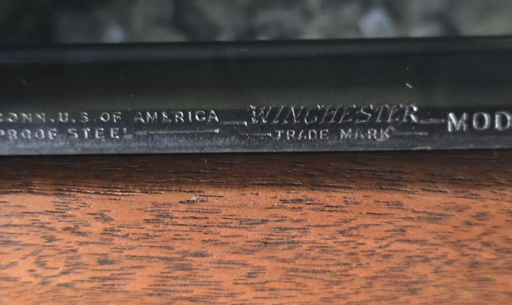 Winchester Model 64 in .30 W.C.F.-img-31