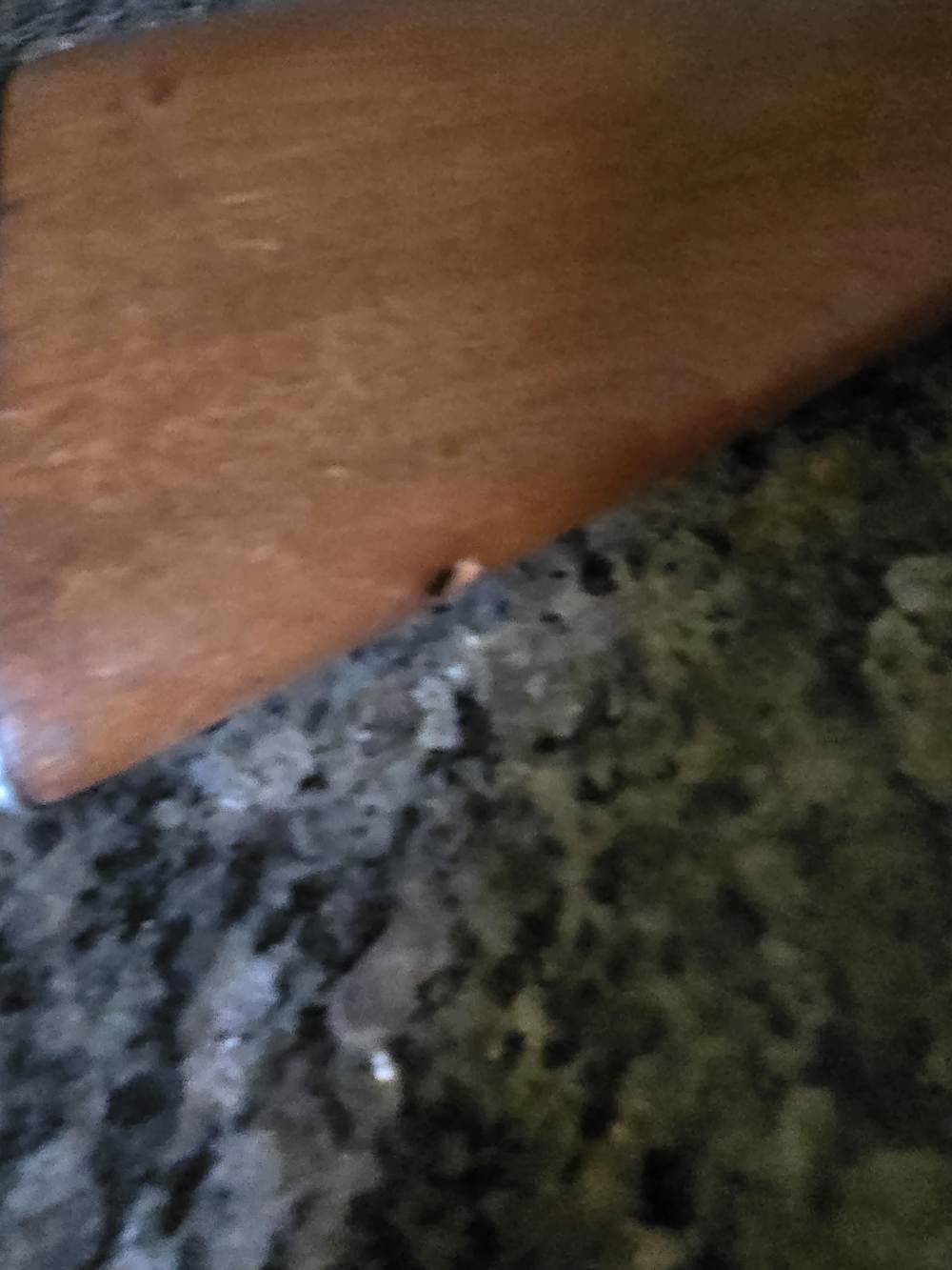 Winchester Model 64 in .30 W.C.F.-img-14