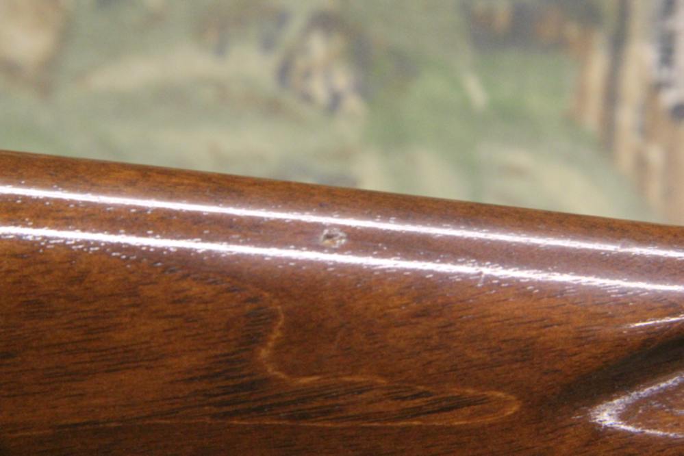 Sako L579 Forester chambered in 243-img-28