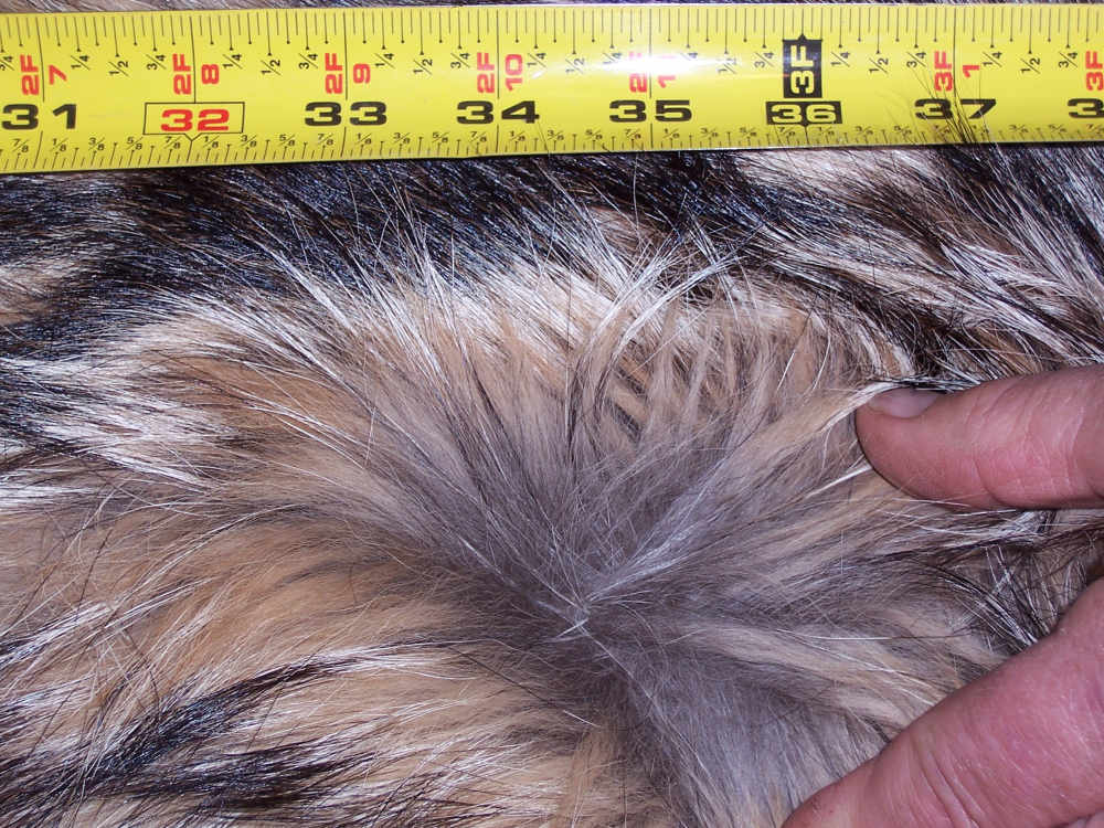 Canadian Timber Wolf Pelt XXL Female w/ Import-Export Papers-img-8