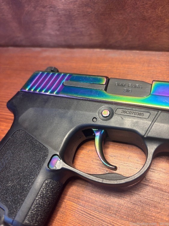 SIG SAUER P290RS Rainbow 46512-1-img-2