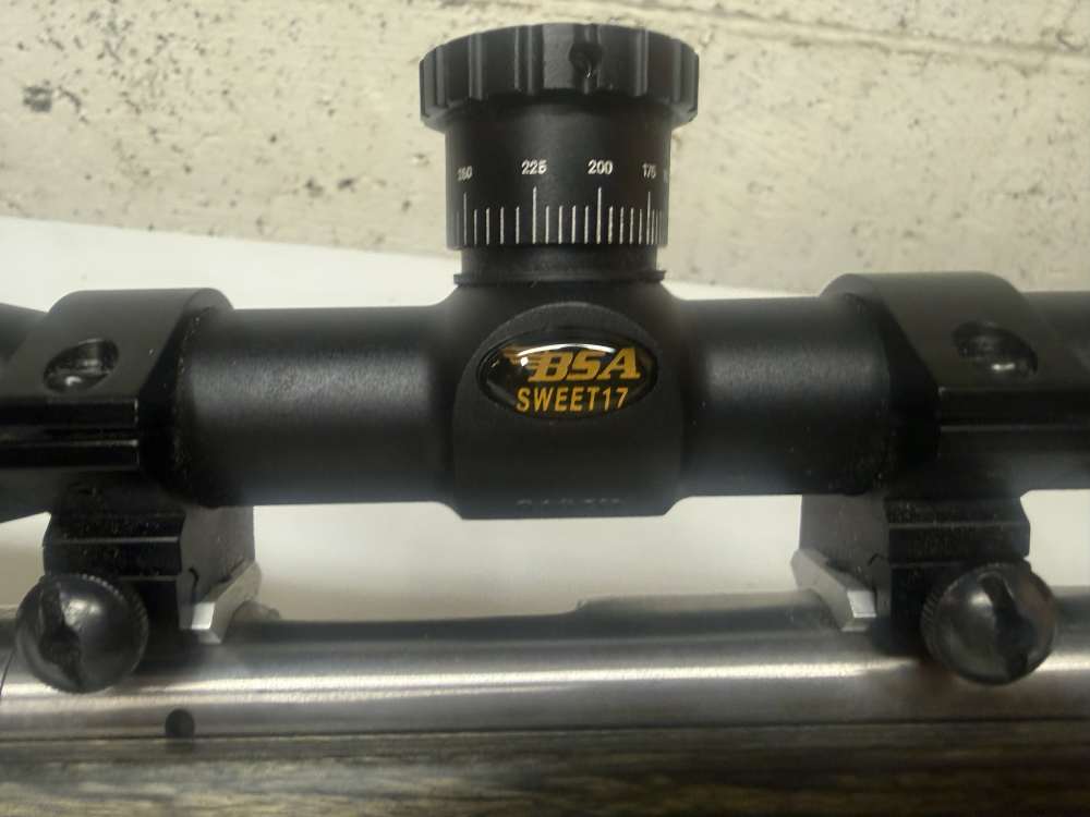 Rare 2005 Savage 93R17 .17HMR Laminate 3-12 Scope-img-22