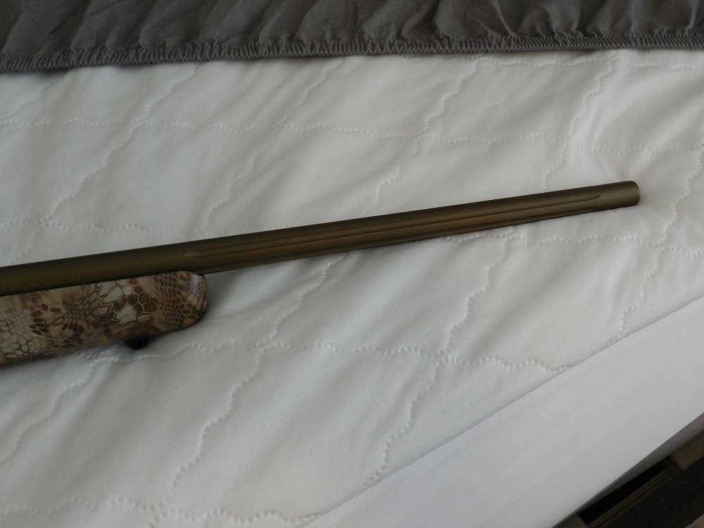 MOSSBERG PATRIOT PREDATOR 243-img-2