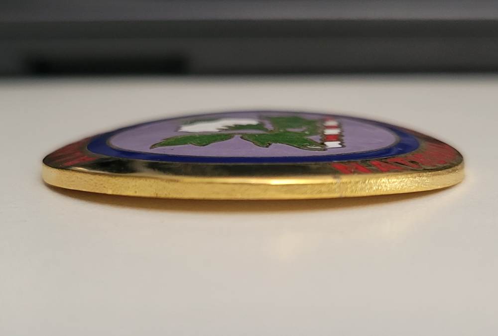 Alabama National Guard Stock Disc Emblem M1 Carbine State Flag-img-3