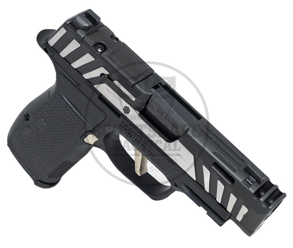 Sig Sauer P365 AXG Equinox-img-6