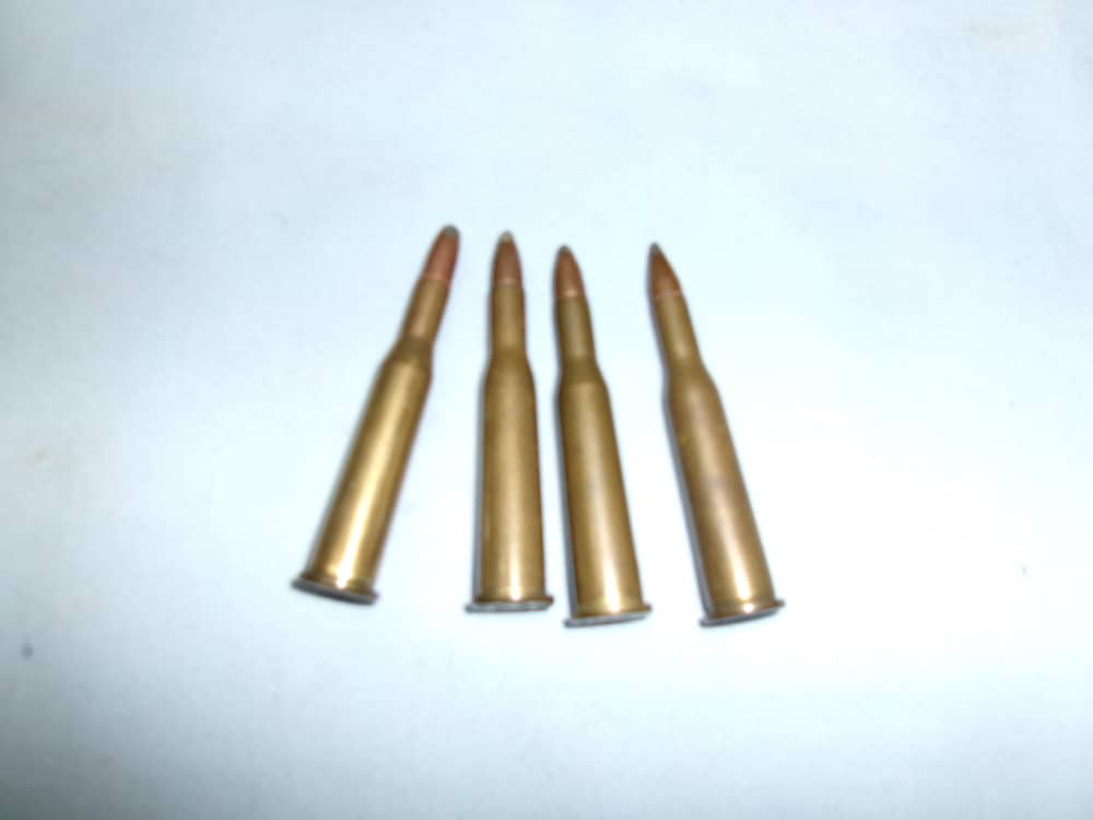 SAVAGE 22 HP & 22 SAV 4 RDS. TOTAL-img-0