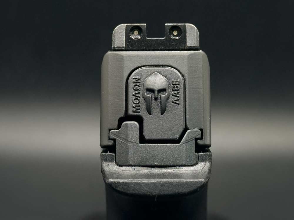SIG SAUER P365 XL OPTIC-READY 9MM -img-6