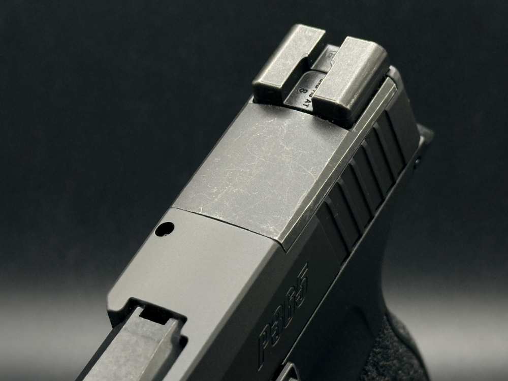 SIG SAUER P365 XL OPTIC-READY 9MM -img-9
