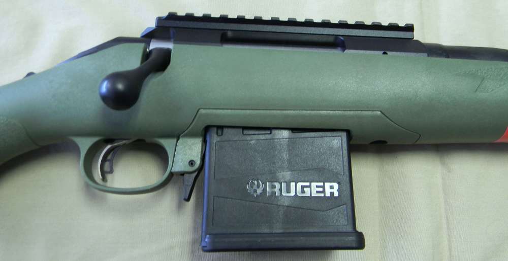 New Ruger American Predator   204 Ruger-img-2