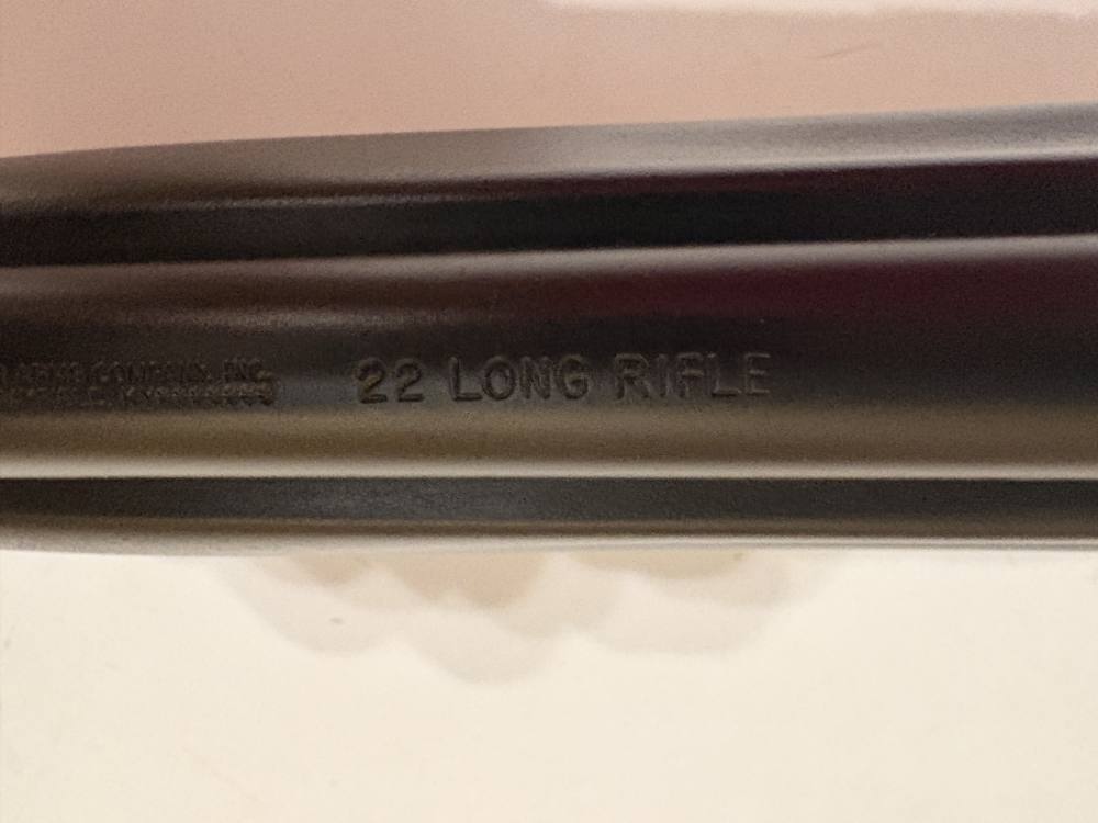 Remington 597 22LR with scope-img-22