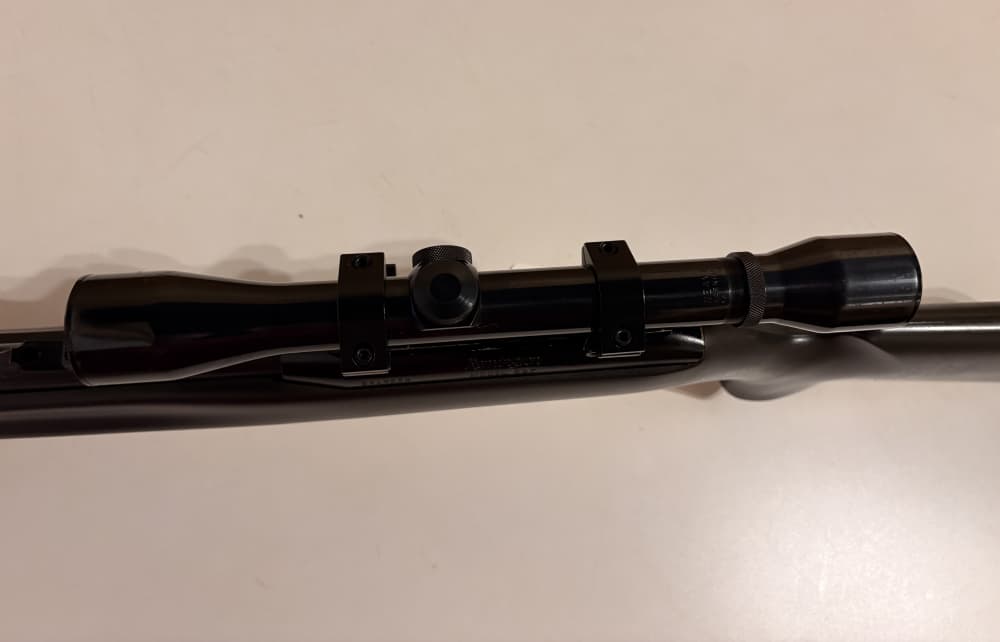 Remington 597 22LR with scope-img-19