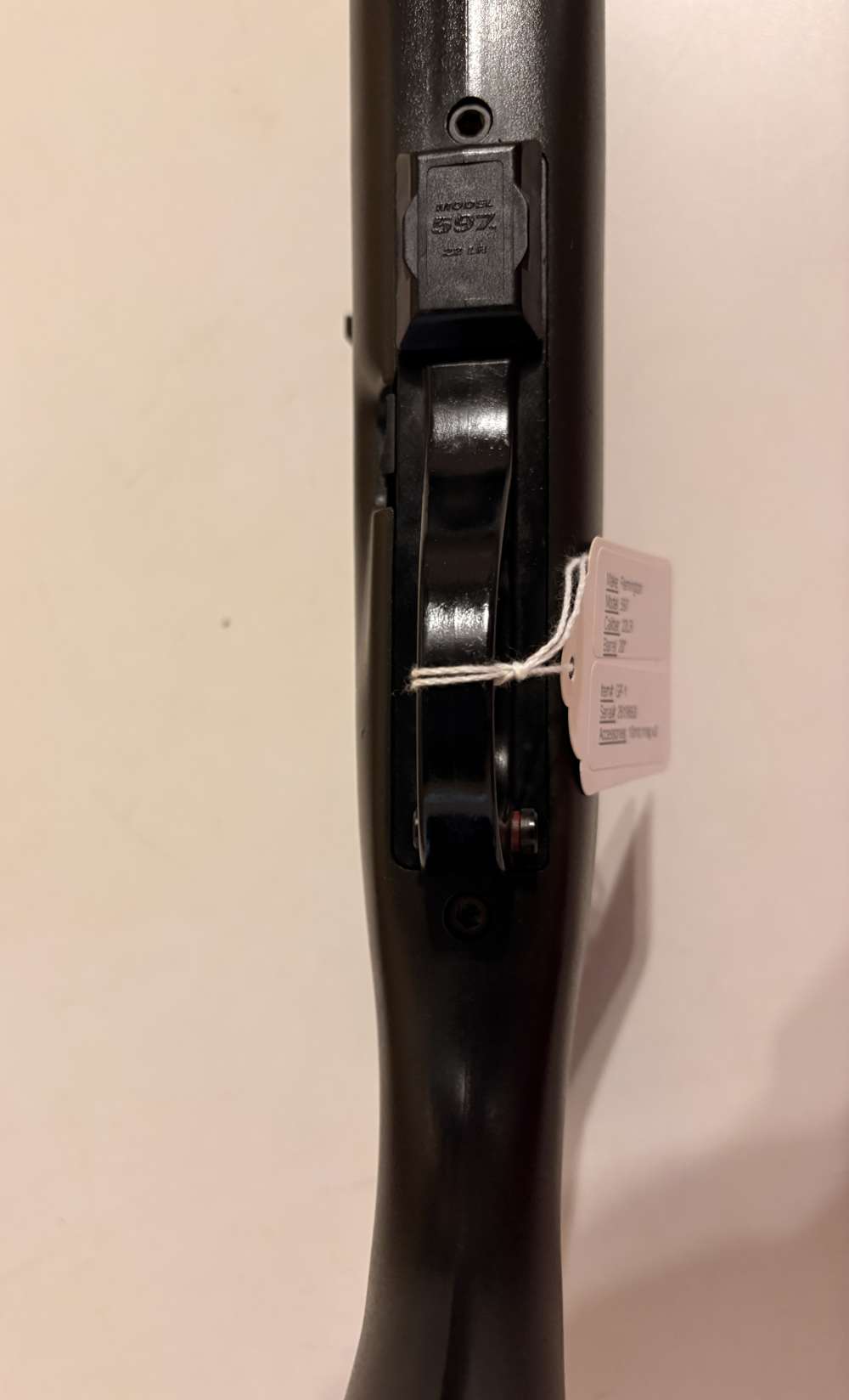 Remington 597 22LR with scope-img-26