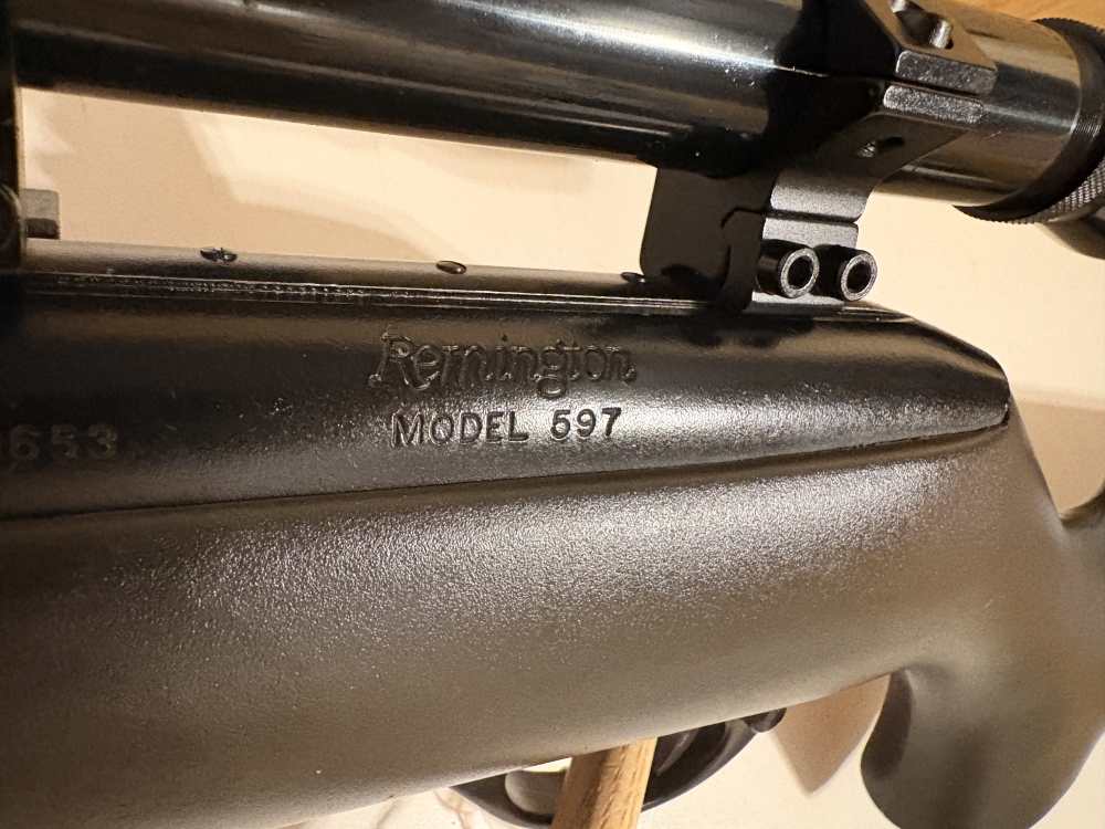 Remington 597 22LR with scope-img-14